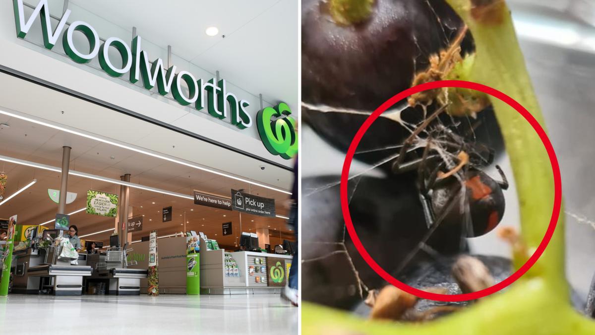 Woolworths grocery store reacts after consumer’s ‘lethal’ discovery in popular buy