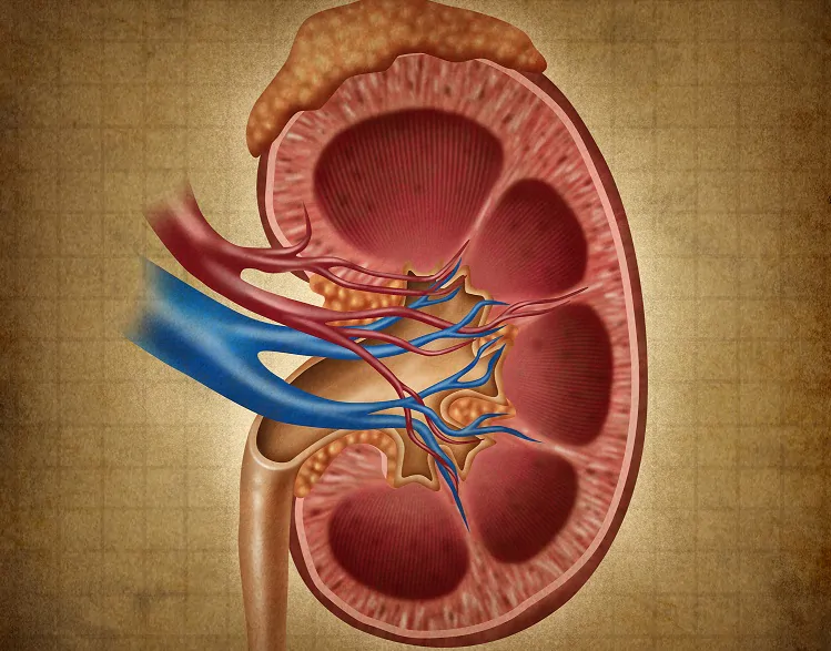 Lesão kidney aguda na cirrose hepática: abordagem prática