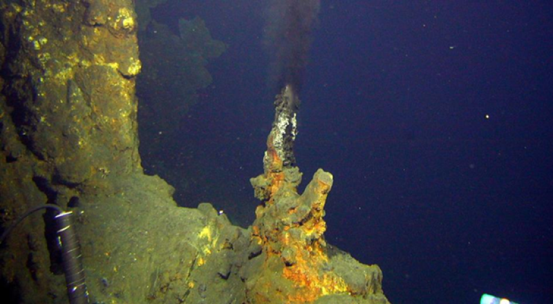 Researchers find enormous biodiversity in high-temperature, deep-sea bacterium neighborhoods