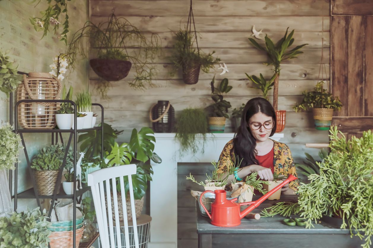 ¡ Te revelamos la planta que corresponde a tu signo del zodiaco!