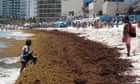 Florida beaches brace for 5,000-mile blob of seaweed to deposit decaying goop