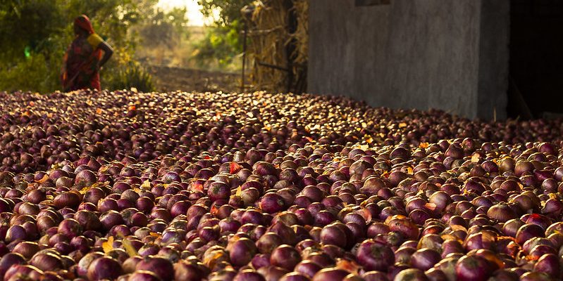 Who Does a Good Crop Benefit? Not Farmers.