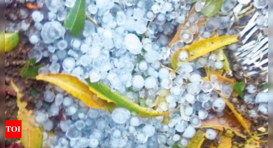 Karnataka weather condition: After heatwave in coast, Kodagu & Kolar see hailstorms