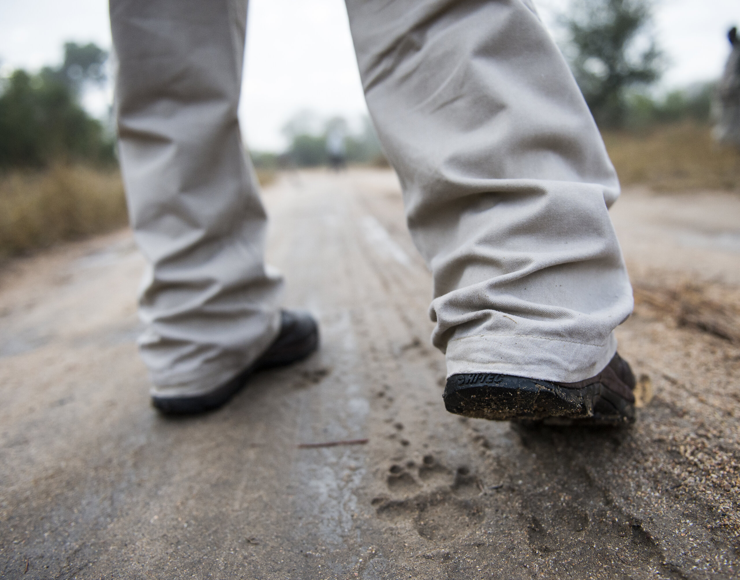 The tracking success path: Follow the track