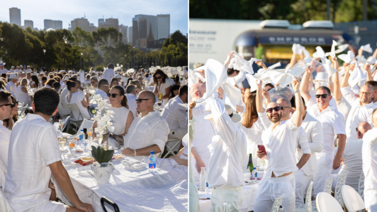 Reaction over $100-a-ticket BYO ‘stylish picnic’ that does not consist of food or furnishings