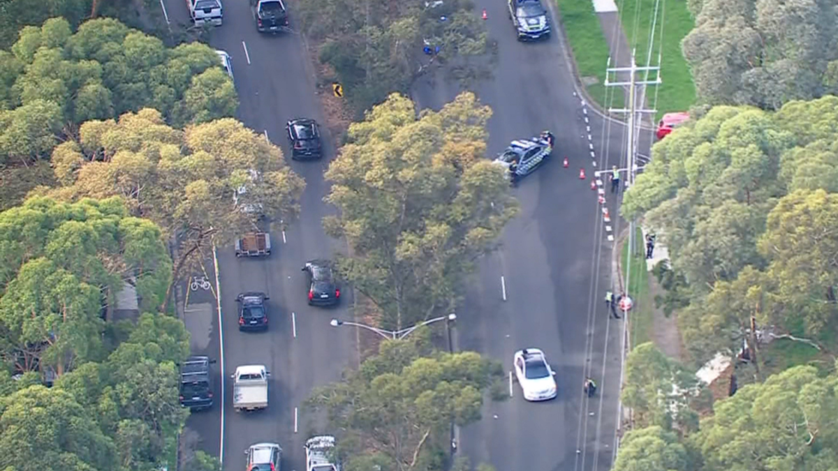 Young female pedestrian struck by automobile in Greensborough in important condition