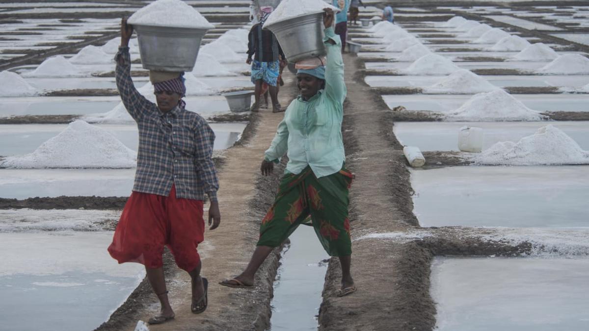 It is a rain of sadness for salt farmers in Prakasam