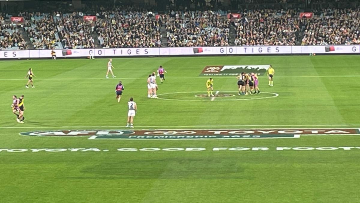 Eagle-eyed AFL observers observe strange information in MCG grass: ‘Serious difficulty’