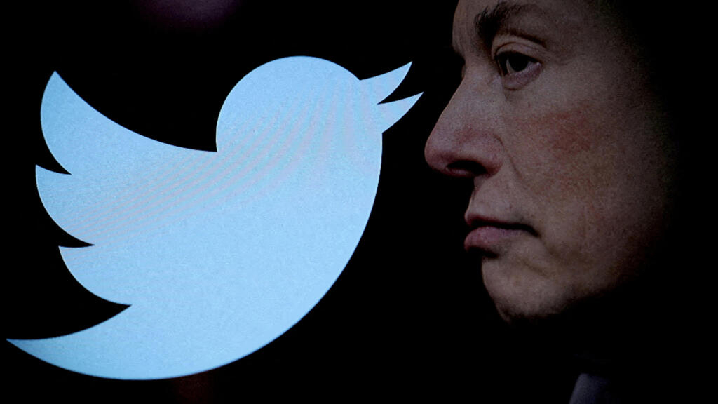 Environment researchers get away Twitter as hostility rises following Musk’s takeover