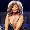 Tina Turner’s ₤ 61m substantial Swiss estate with own boat dock and mountain views