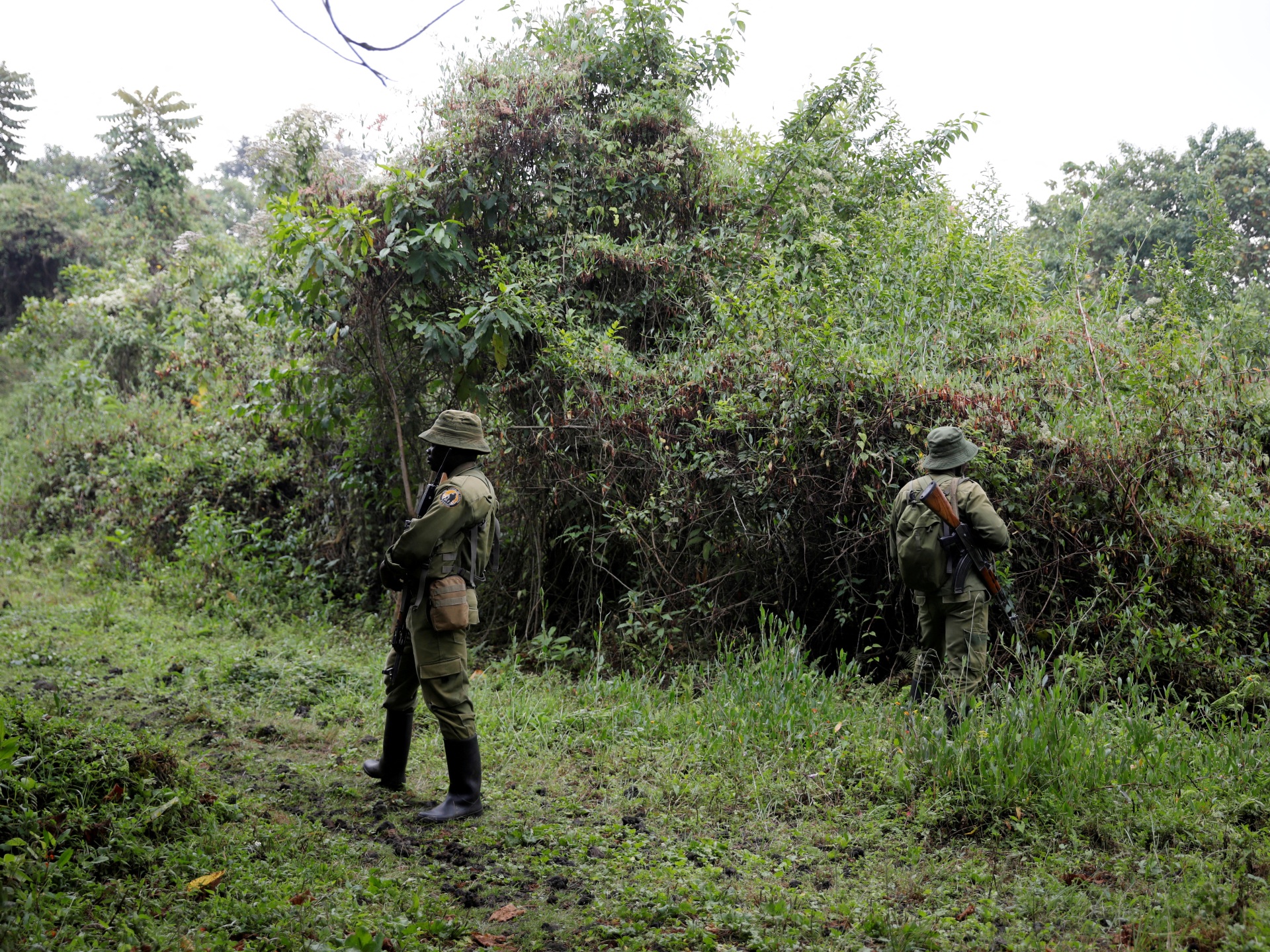 2 rangers shot dead in DR Congo’s Virunga park