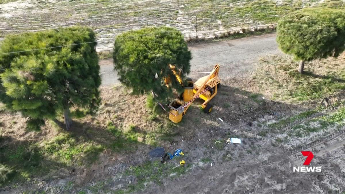 Gnangara teenager ‘crucial’ in healthcare facility after tree-trimming equipment strikes powerlines