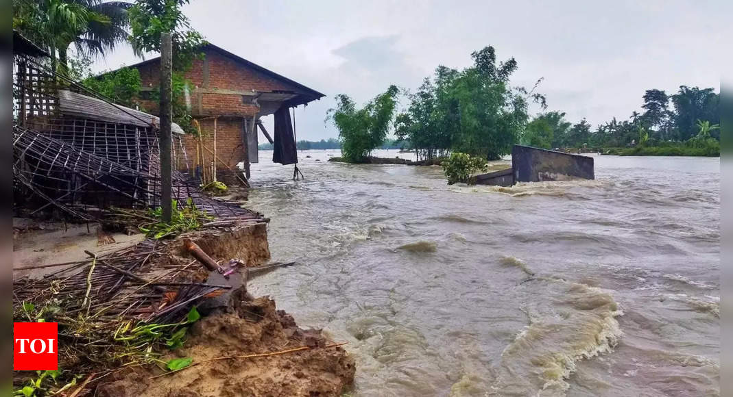 Assam flood circumstance grim, almost 33,500 impacted