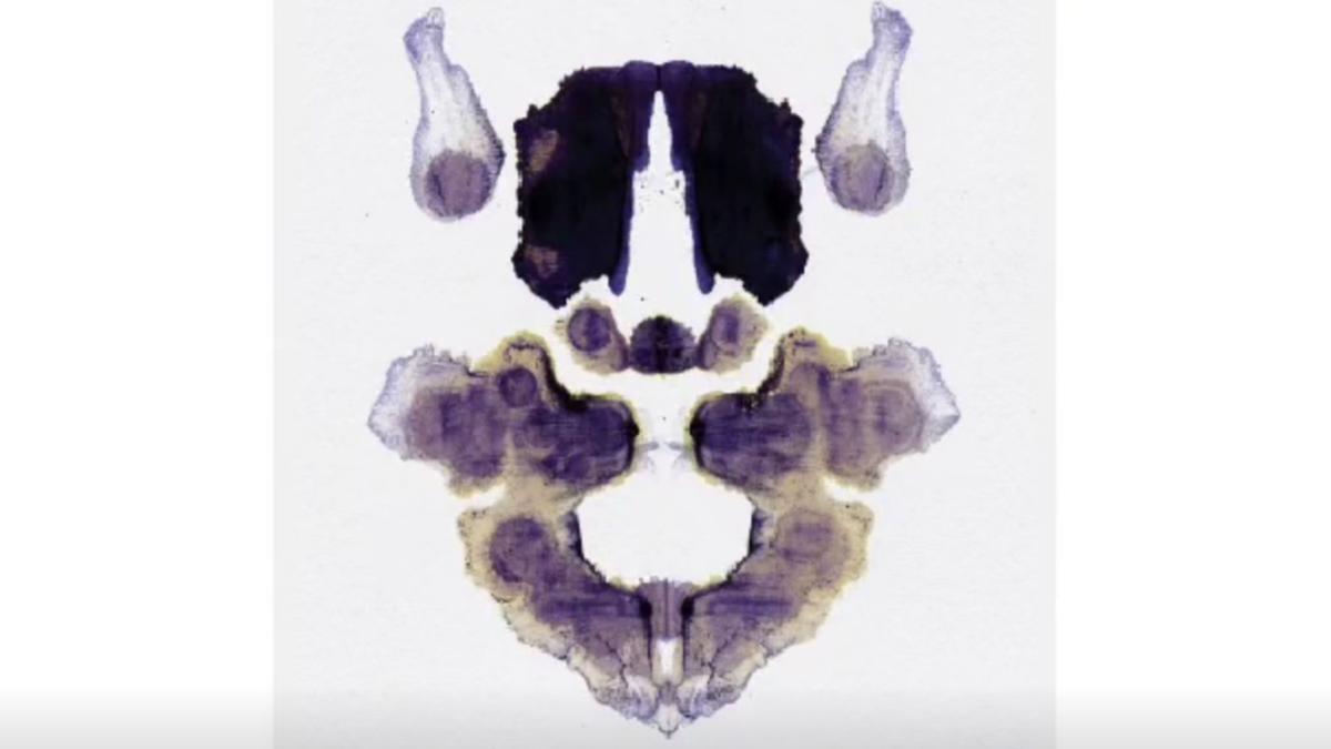 What you see initially in visual fallacy of inkblot on TikTok exposes loads about your character