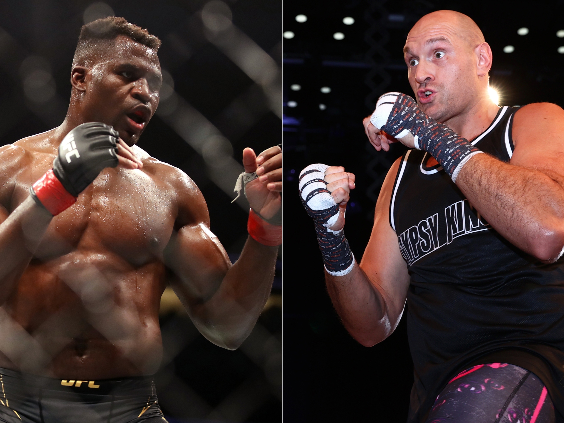 Tyson Fury to deal with Francis Ngannou in boxing megafight