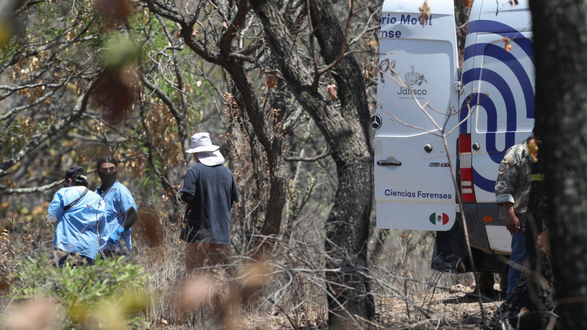 Roadside battles in Mexico eliminate 6 individuals in ‘act of horror’