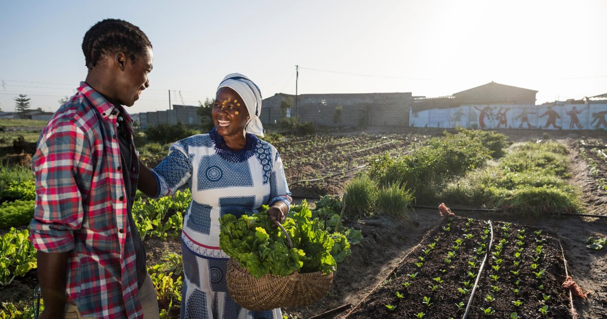 Bayer makes 160 million U.S. dollar dedication to Zero Hunger Pledge