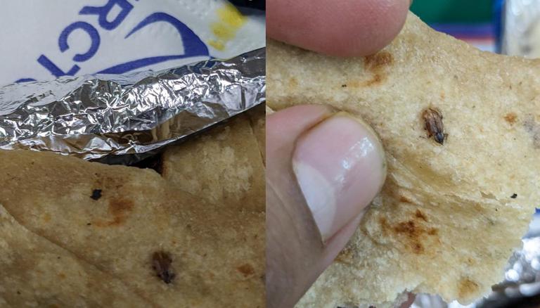 Guest finds cockroach in meal served on Vande Bharat train, IRCTC reacts|India News