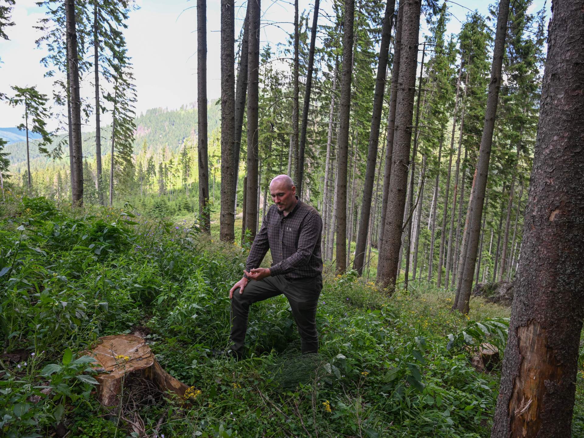 Pictures: The battle to conserve ‘spiritual’ Carpathian forests from loggers