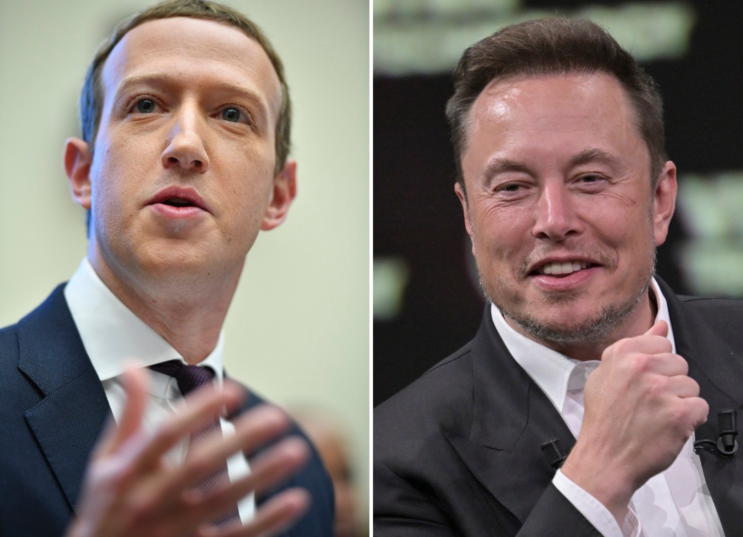 Musk not major about cage battle; time to proceed, Zuckerberg states