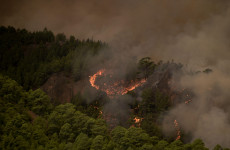 Firemens fight ‘out of control’ Tenerife wildfire that has actually burned through 5,500 acres