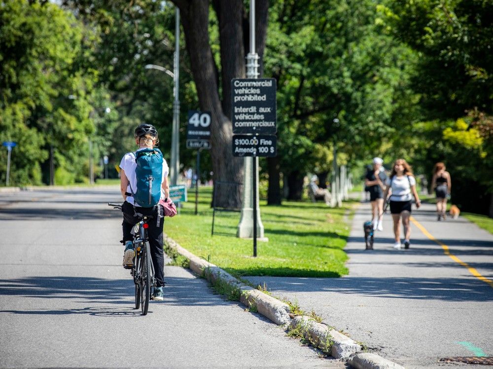 Deachman: What takes place when Mark Sutcliffe’s Queen Elizabeth Drive information gets driven too far?