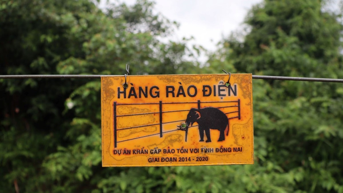 Developing ‘ID cards’ for Vietnam’s reduced wild elephant herds