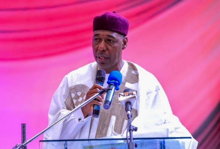 In 100 Days, Zulum provided 77 Projects, programs