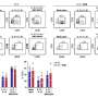 Can a vitamin change natural killer cells into a cancer treatment? Researchers believe the response is yes