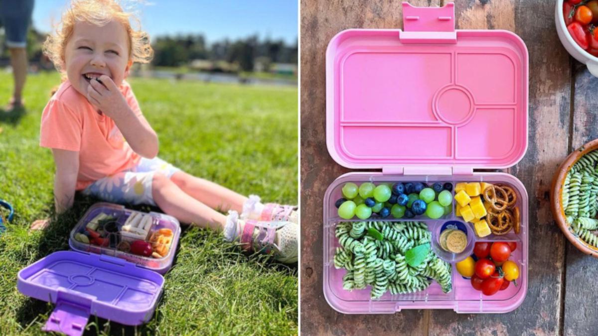 Finest lunchbox for kids: Why moms and dads swear by these six-section bento boxes throughout the school vacations