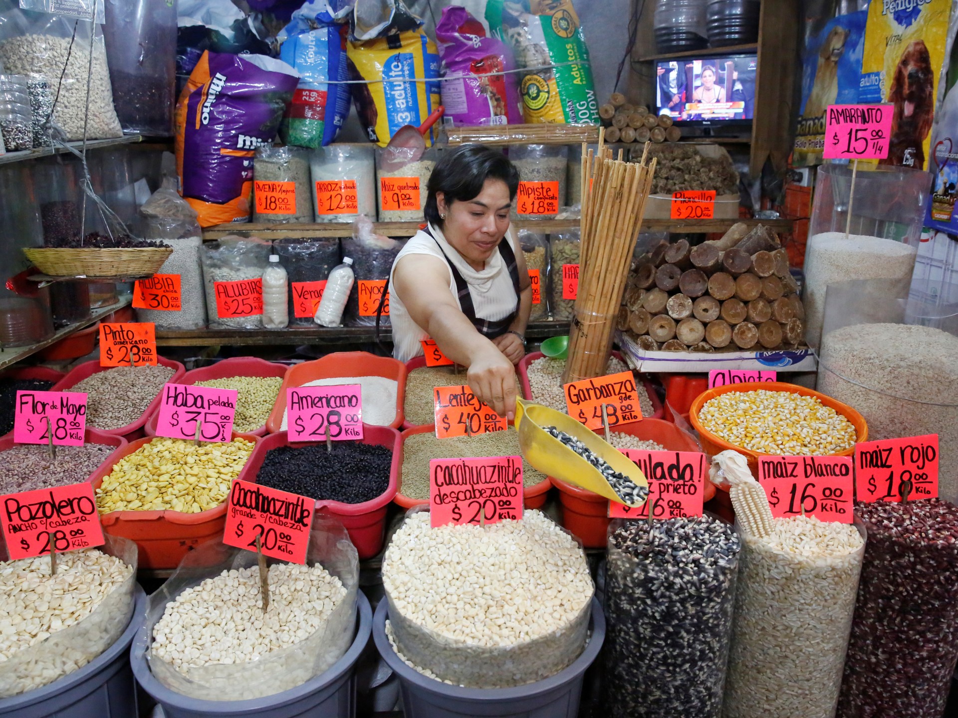 Why is Mexico withstanding larger neighbours United States, Canada on corn?