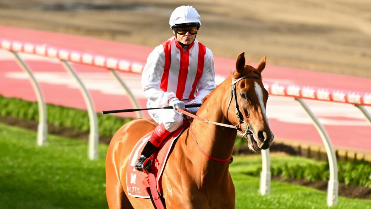 ‘Brave’ sprinter Giga Kick eliminated of Everest after veterinarian evaluation