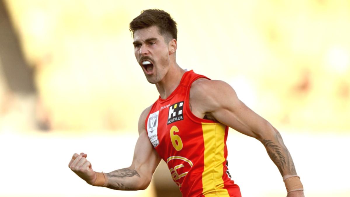 Gold Coast Suns win VFL grand last as AFL growth side lastly takes success with success over Werribee