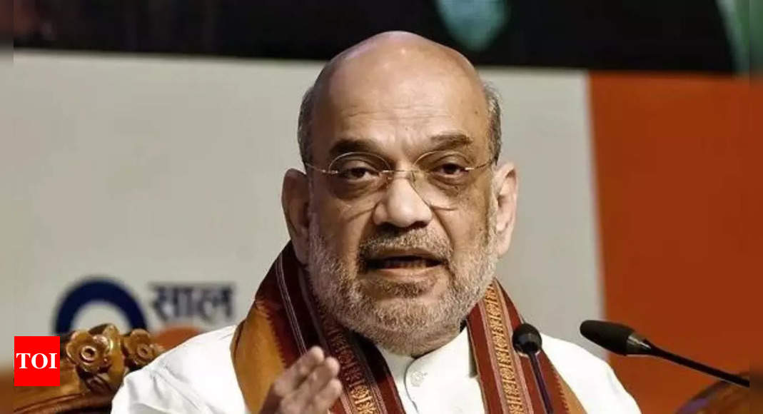 Anti-drone system to be released along worldwide border, states house minister Amit Shah