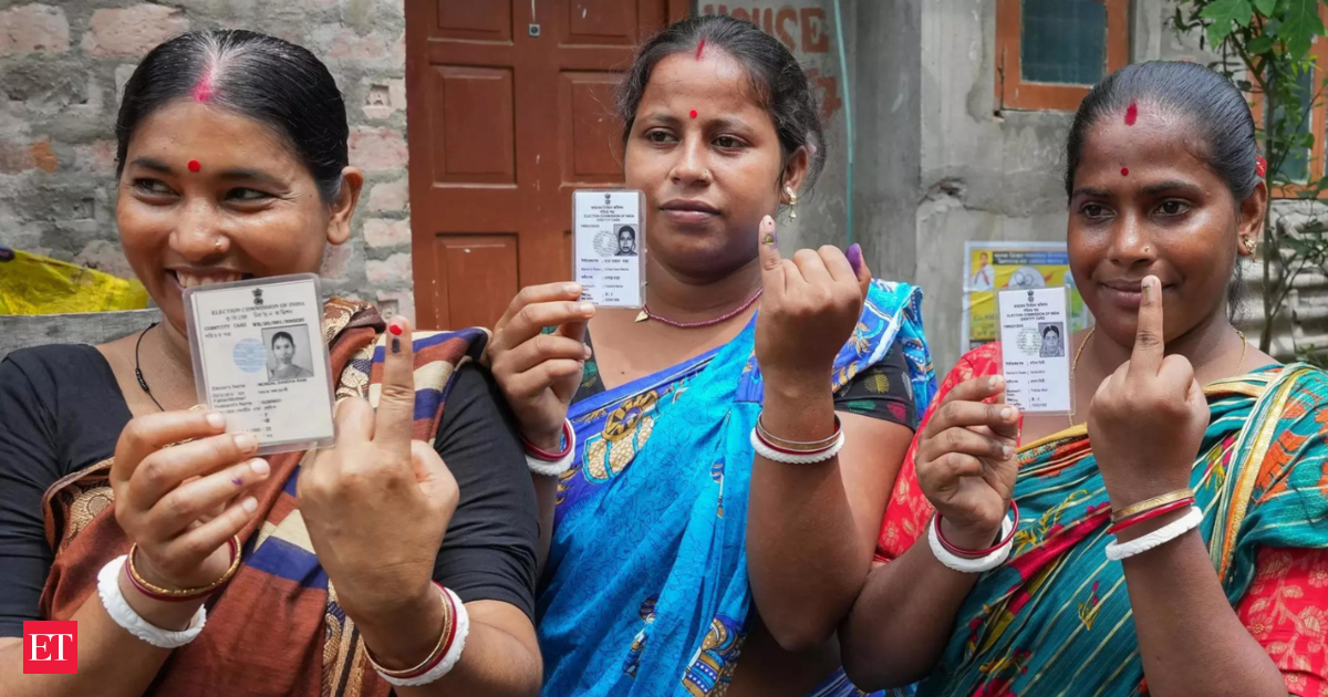 Chhattisgarh surveys: More than 2 cr individuals qualified to vote; 90 seats to have 24,109 cubicles