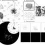 A much better ‘map’ of the lights you see when you close your eyes can enhance ‘bionic eye’ results