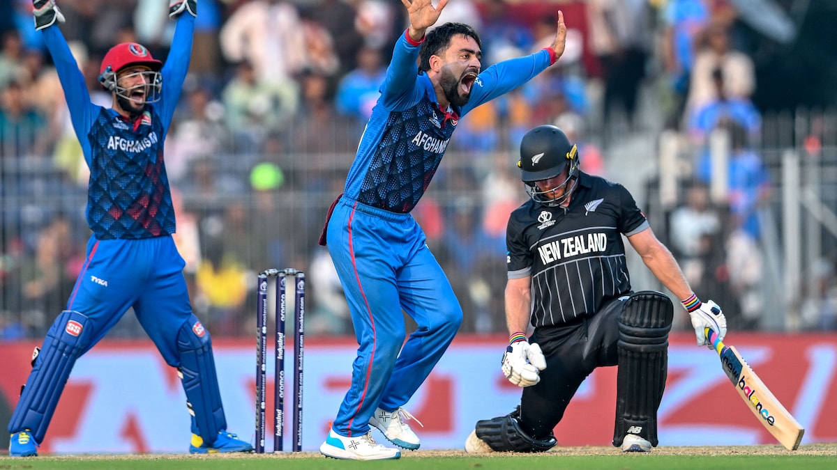 “Dropping 5 Catches Hurt United States …”: Afghanistan Captain After Loss vs New Zealand In Cricket World Cup