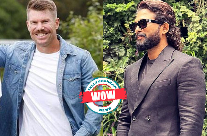 Wow! Australian cricketer David Warner praises Allu Arjun for protecting a National award for Pushpa: The Rise