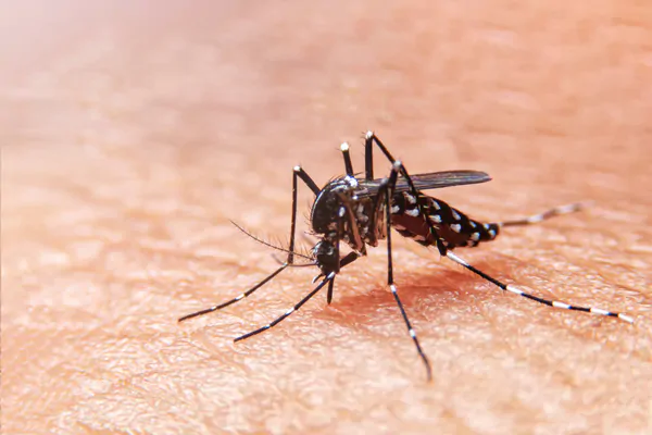 Aumento no número de casos de dengue no Rio de Janeiro