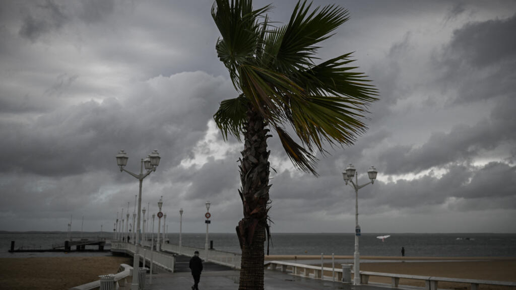 A minimum of one dead and 1.2 million French homes without electrical energy as Storm Ciaran sweeps Europe