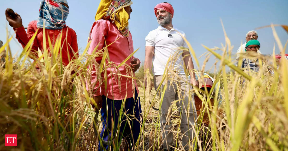 Rahul shares video of interaction with Chhattisgarh town farmers, states tillers pleased with state federal government