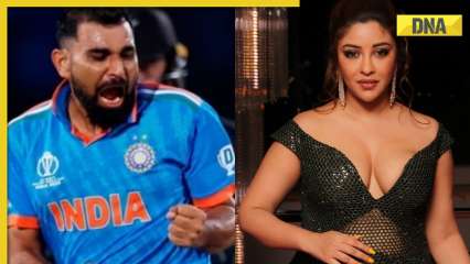 Starlet Payal Ghosh wishes to wed Indian pacer Mohammed Shami however …