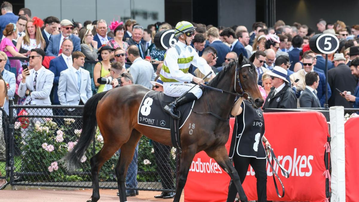 Unbeaten filly Skybird gets initially look of Caulfield ahead of Thousand Guineas