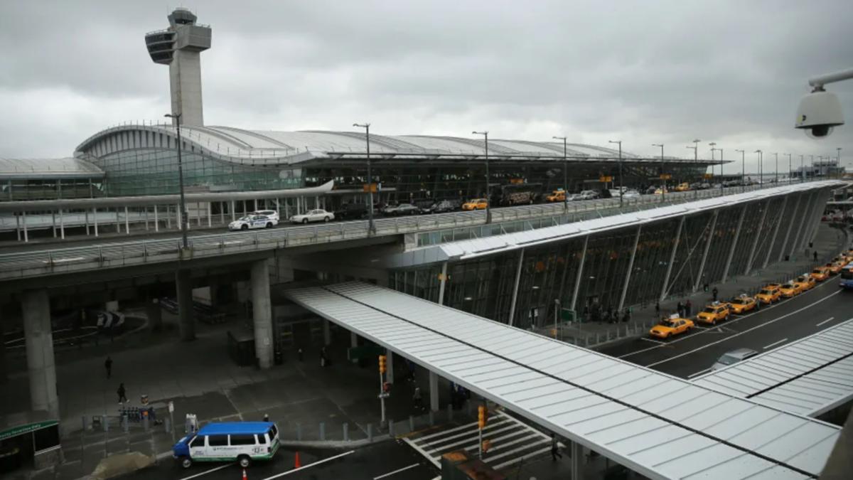 Airplane reverses to JFK after horse gets away on board