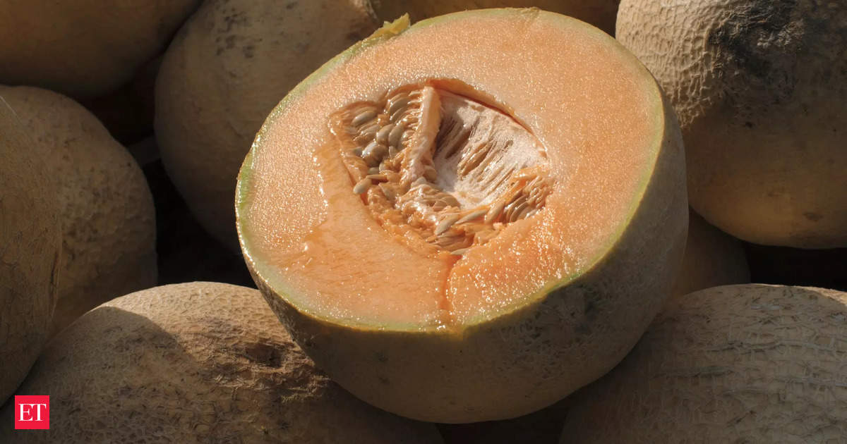 Cantaloupe salmonella break out in United States: Multiple deaths, 32 states impacted