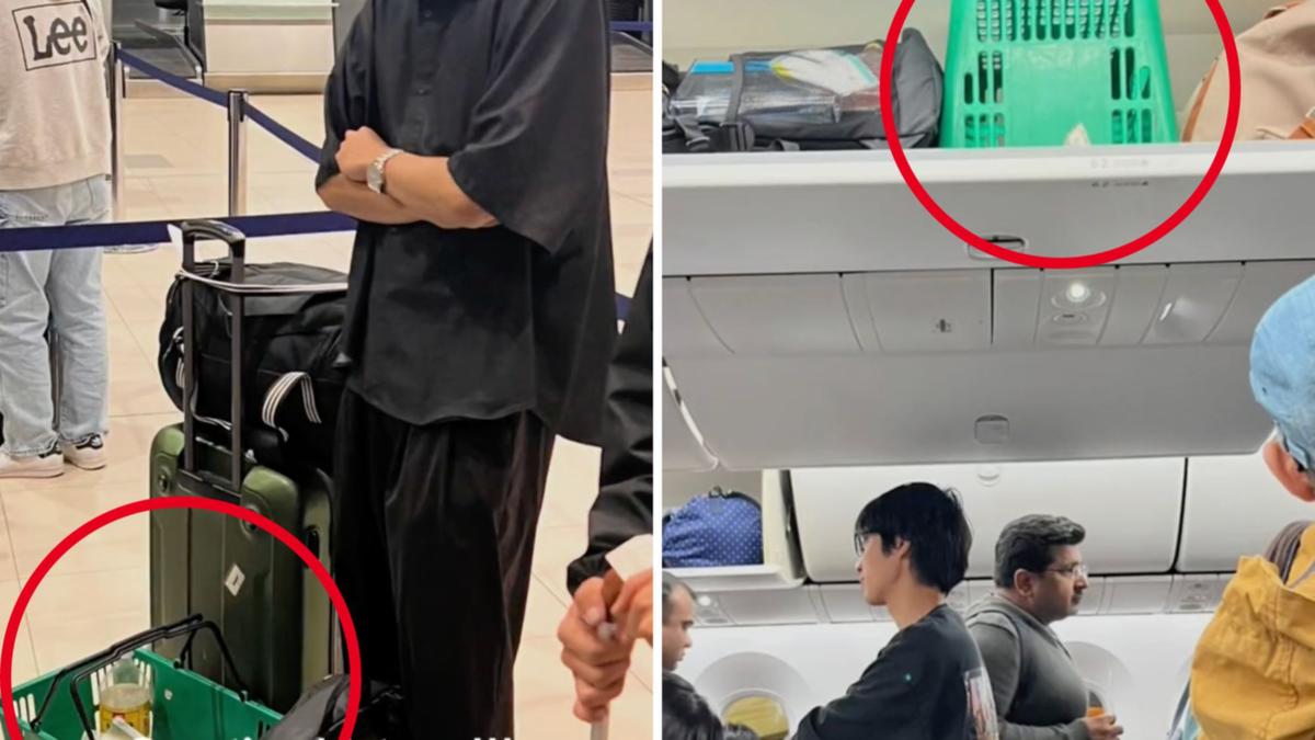 Previous Woolworths worker’s wild show shopping basket on worldwide flight goes viral