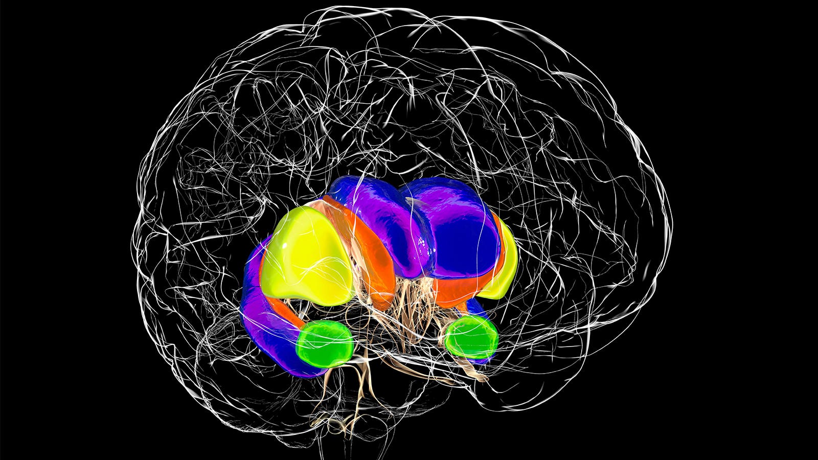 Antisense Drug Trial Provides Key Insights About Huntington’s Disease