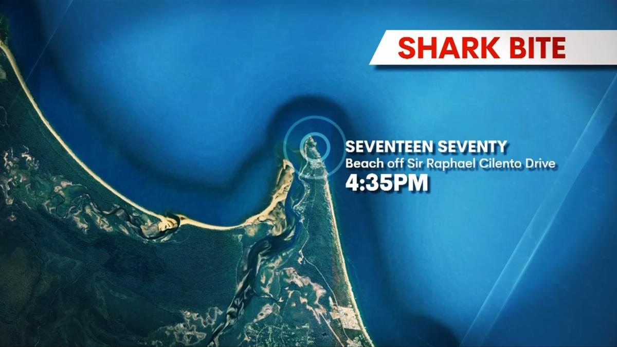 Male assaulted by shark at Seventeen Seventy in main Queensland