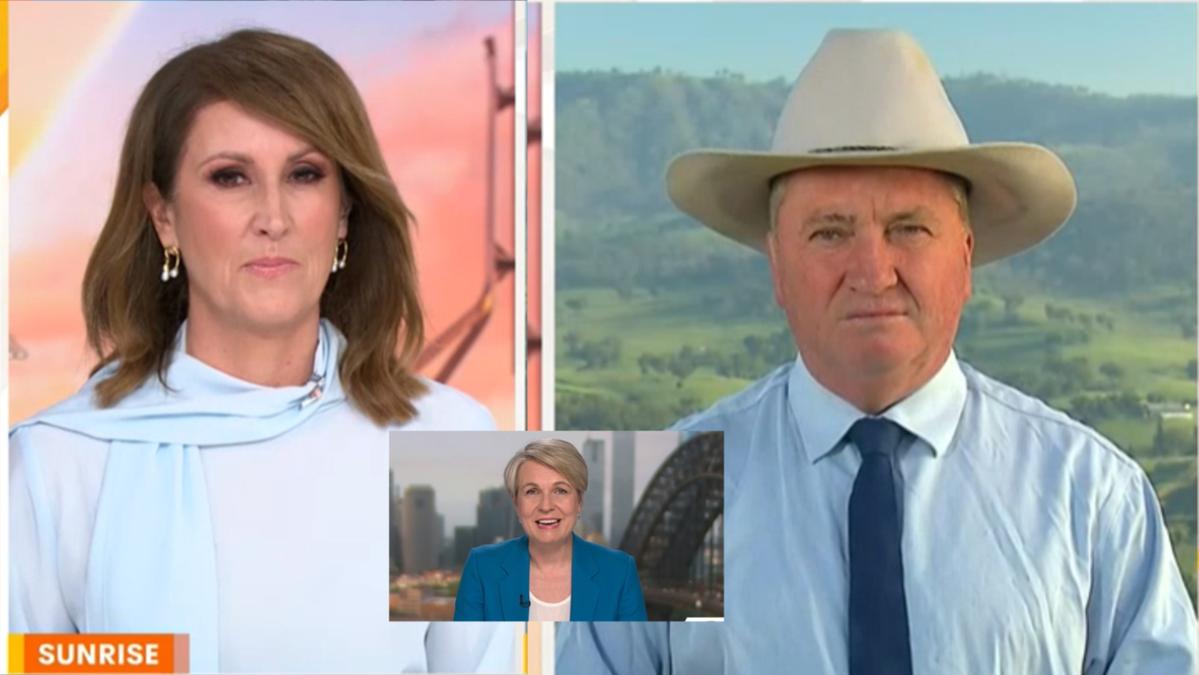 Daybreak host Nat Barr clashes with Nationals MP Barnaby Joyce over release of Melbourne terrorist Abdul Nacer Benbrika