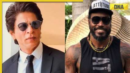 Shah Rukh Khan responds to Chris Gayle’s viral video of dancing to Lutt Putt Gaya: ‘Universe employer strikes it out of the park’